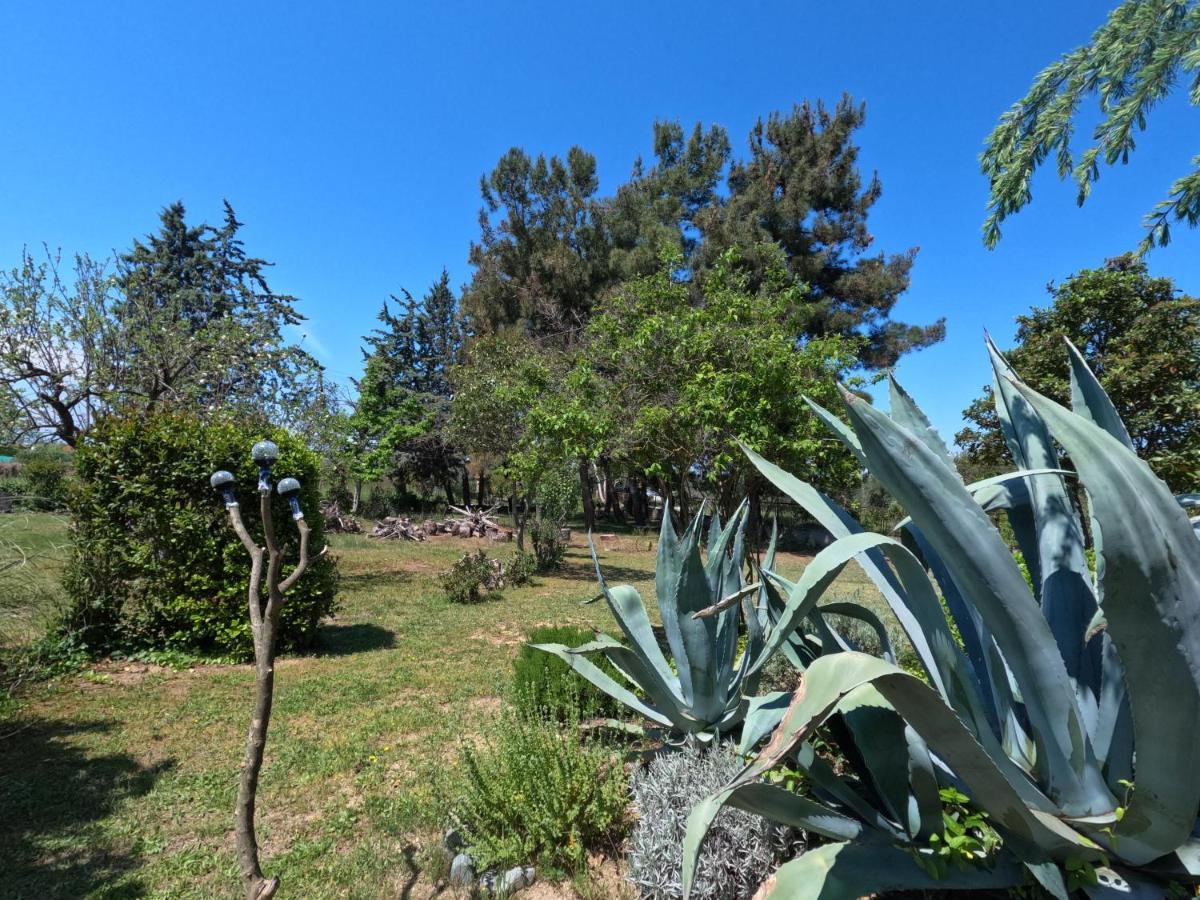 Pond And Pines, By Nice House By The Sea! Epanomi Exteriör bild