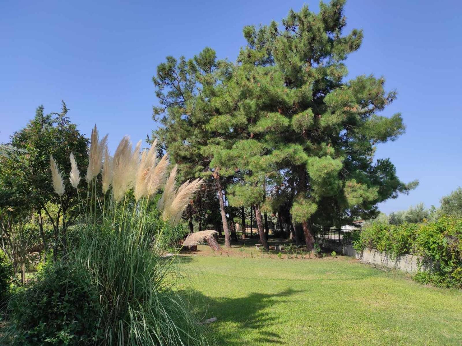 Pond And Pines, By Nice House By The Sea! Epanomi Exteriör bild