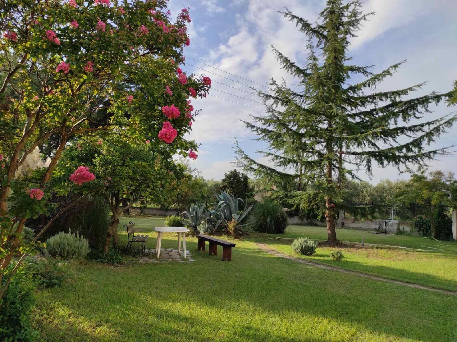 Pond And Pines, By Nice House By The Sea! Epanomi Exteriör bild