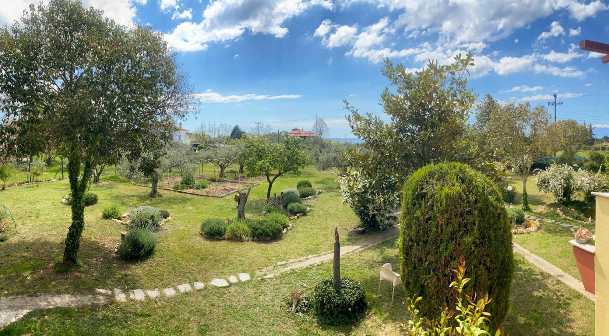 Pond And Pines, By Nice House By The Sea! Epanomi Exteriör bild